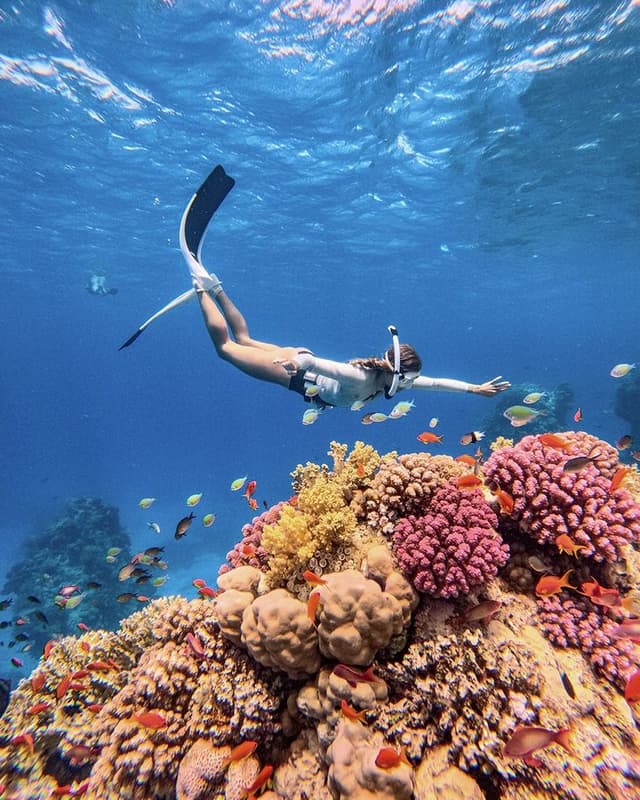/snorkeling/sn2.jpeg