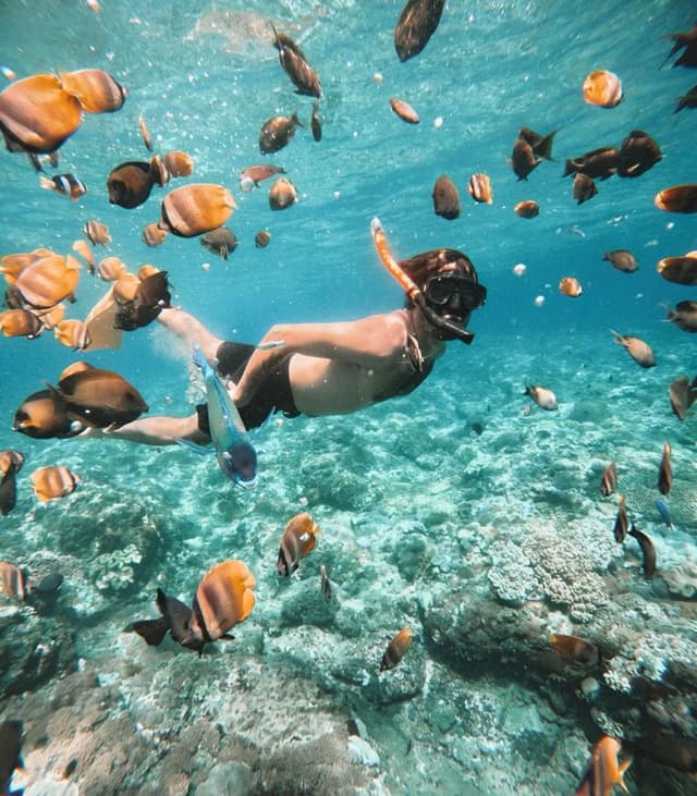 /snorkeling/sn3.jpeg